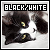 Black and White Cats: 